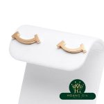 Bông tai T Smile K18RG