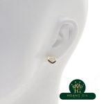 Hoa tai biểu tượng kim cương hạnh phúc