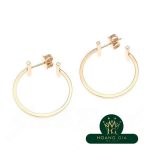 Bông tai vòng dây chữ T M