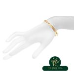 Atlas đã đóng bản lề Bangle M