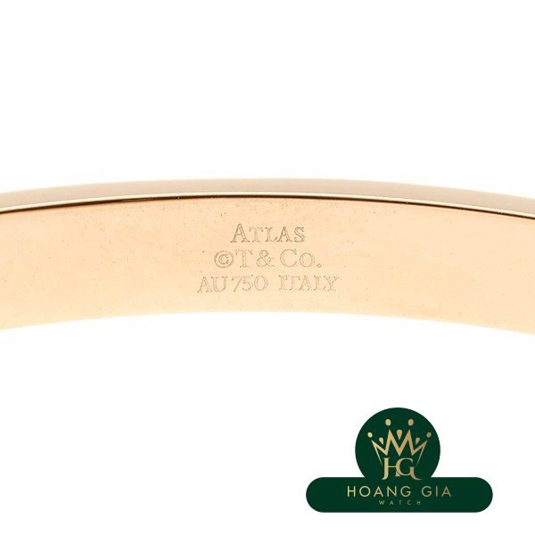 Atlas đã đóng bản lề Bangle M