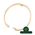 Atlas đã đóng bản lề Bangle M