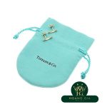 Bông tai T Smile K18YG