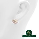 Bông tai Chanel Coco Mark AB1066 19P