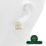 Bông tai Chanel Coco Mark AB2550 19A