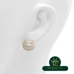 Bông tai Chanel Coco Mark AB2628