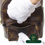 Balo Palm Springs MINI Monogram Brown