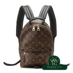 Balo Palm Springs PM Monogram Brown