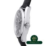 Lịch hàng năm Seamaster Aqua Terra