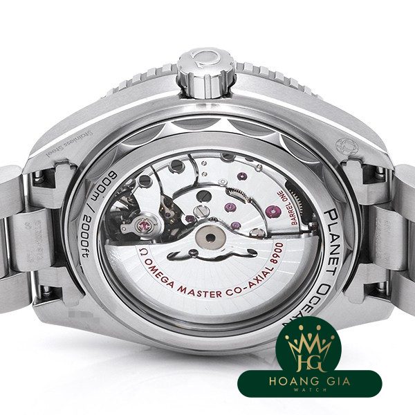 Seamaster 600 Planet Ocean Co-Axial Master Chronometer