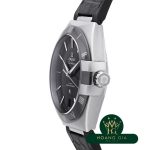 Chronometer Co-Axial Master Chronometer 41