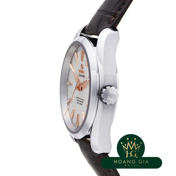 Seamaster Aqua Terra Master Co-Axial Chronometer