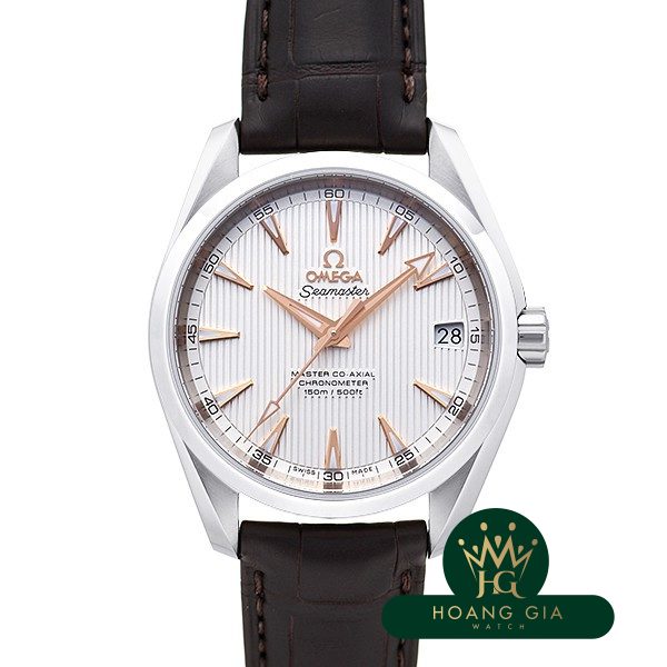 Seamaster Aqua Terra Master Co-Axial Chronometer