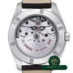 Seamaster Aqua Terra Master Co-Axial Chronometer