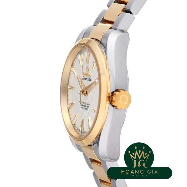 Seamaster Aqua Terra Master Co-Axial Chronometer