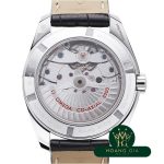 Seamaster Aqua Terra Chronometer Master Co-Axial