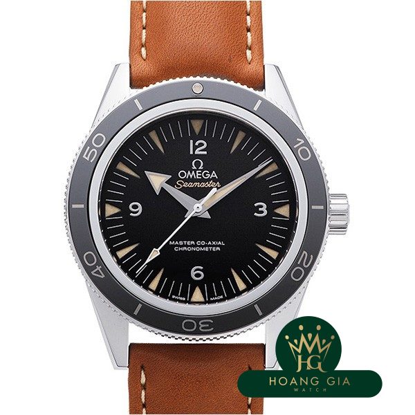 Seamaster 300 Master Co-Axial