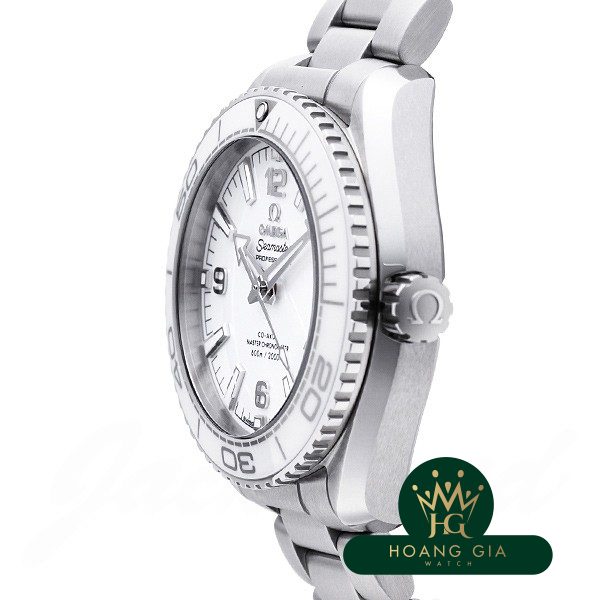 Seamaster 600 Planet Ocean Co-Axial Master Chronometer