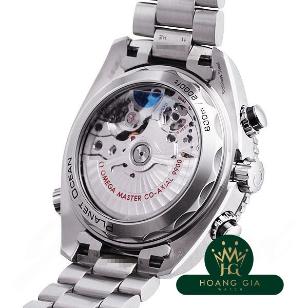 Seamaster 600 Planet Ocean Chronograph