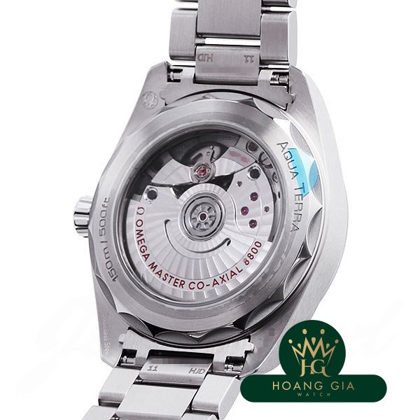 Seamaster Aqua Terra Co-Axial Master Chronometer