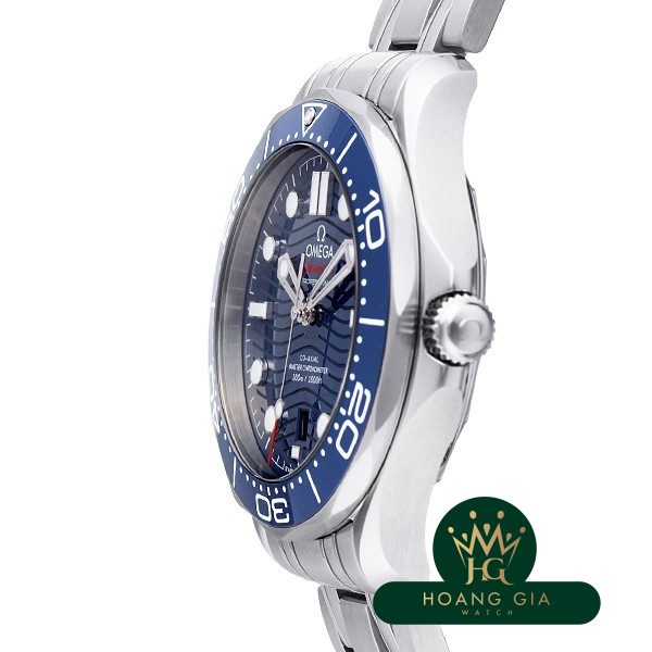 Seamaster Professional 300 Co-Axial Master Chronometer