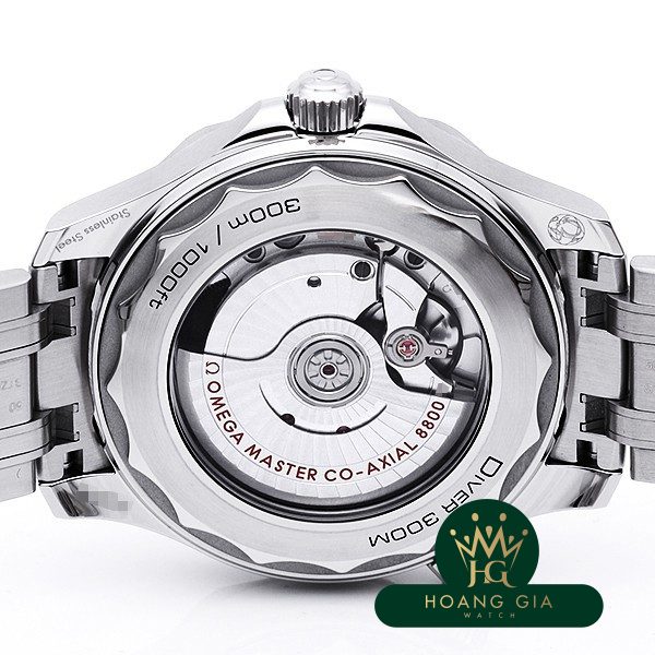 Seamaster Professional 300 Co-Axial Master Chronometer
