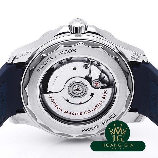 Seamaster Professional 300 Co-Axial Master Chronometer