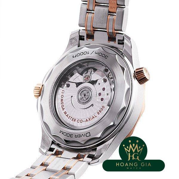 Seamaster Professional 300 Co-Axial Master Chronometer