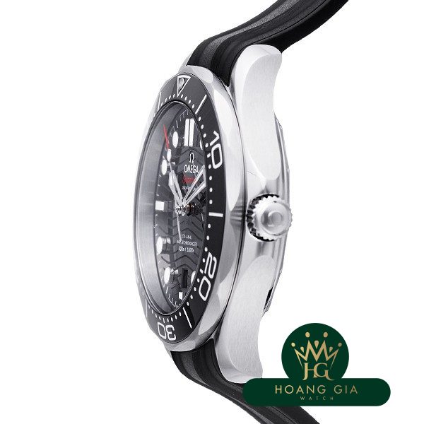 Seamaster Professional 300 Co-Axial Master Chronometer