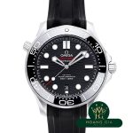 Seamaster Professional 300 Co-Axial Master Chronometer