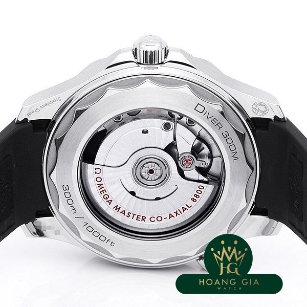 Seamaster Professional 300 Co-Axial Master Chronometer