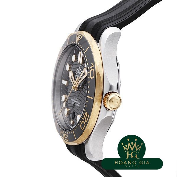 Seamaster Professional 300 Co-Axial Master Chronometer