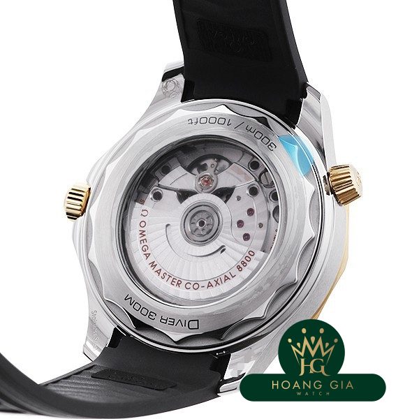 Seamaster Professional 300 Co-Axial Master Chronometer