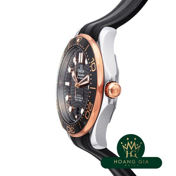 Seamaster Professional 300 Co-Axial Master Chronometer